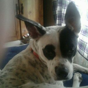 Meet your Posher, Gary